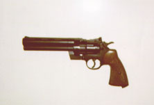 Crosman 3357 (10035 bytes)