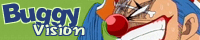 buggy vision