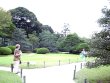 29_Nijo_Garden-vs.jpg