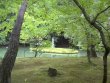 12_Kinkakuji_Pond-vs.jpg