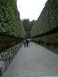 03_Ginkakuji_Path-vs.jpg