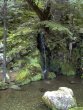 18_Ginkakuji_Falls-vs.jpg